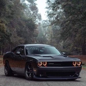 Meet your Posher, Austin